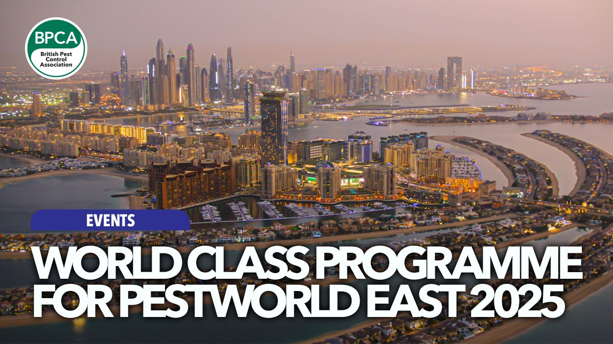 200 world-class-programme-pestworld-east-hero 200 world-class-programme-pestworld-east-hero